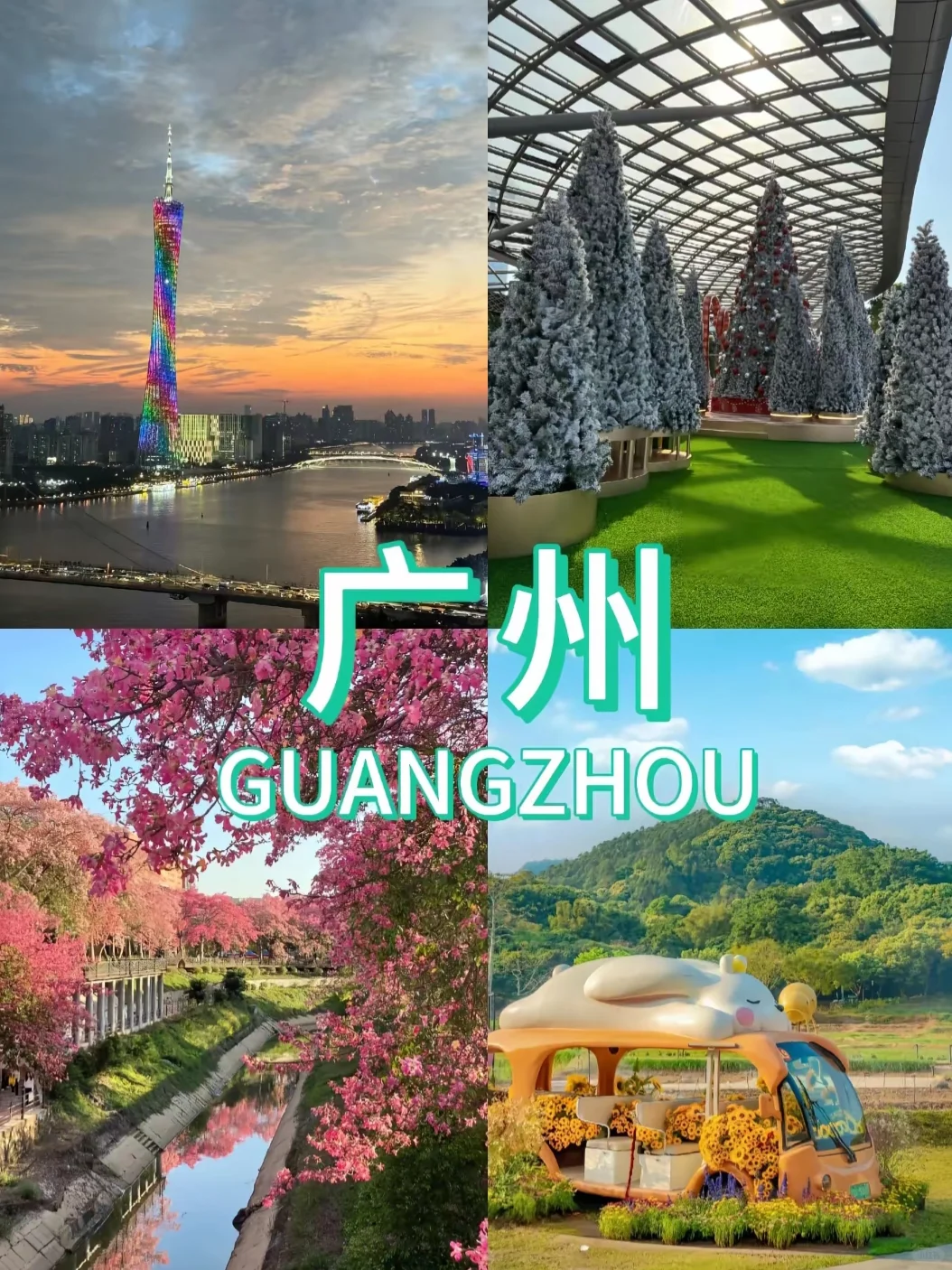 冬季反向旅游9个避寒城市🏝收藏好啦‼️