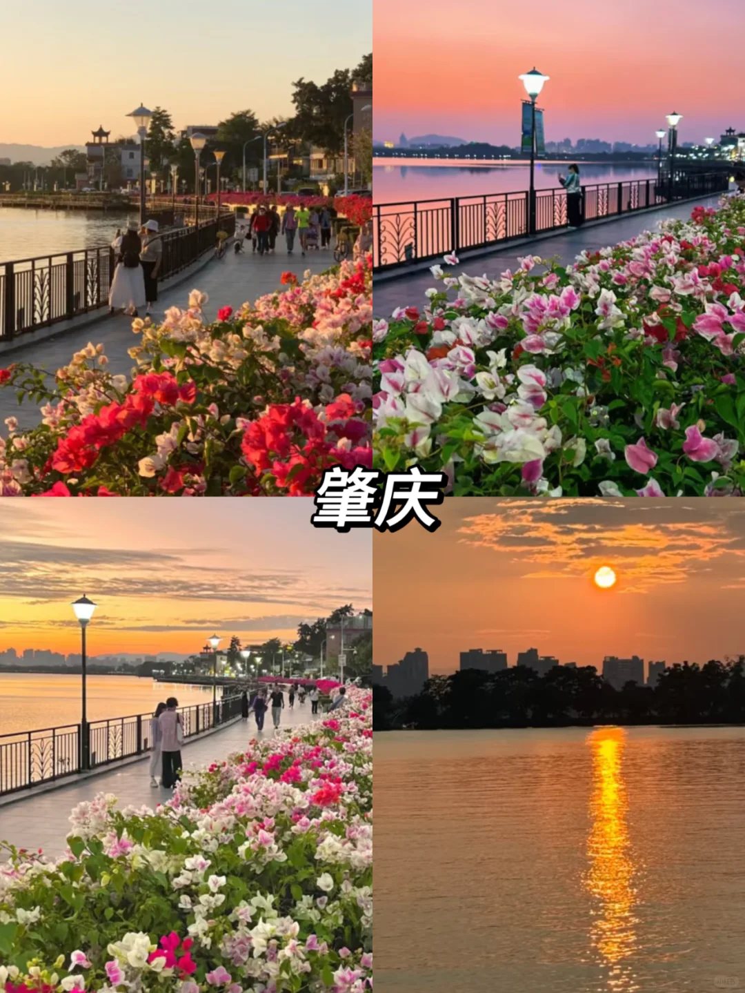 春节来广东旅游❗8大城市景点推荐💯