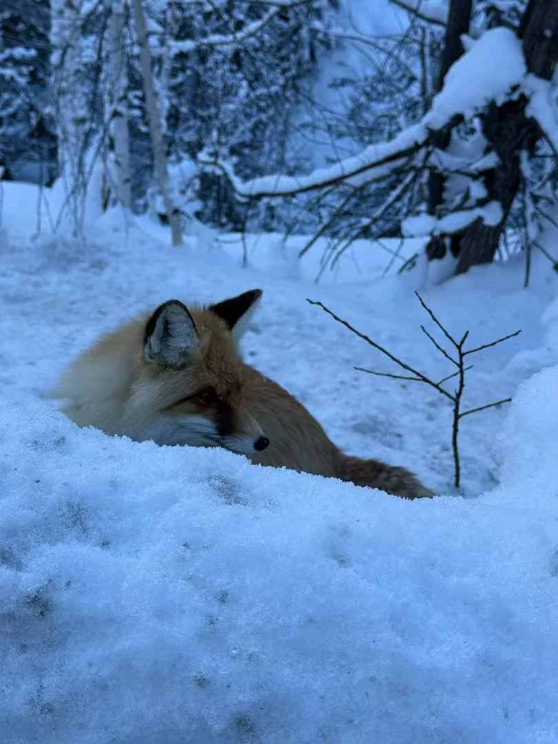 刚和男友👫从新疆回来,5天才花💰2000+