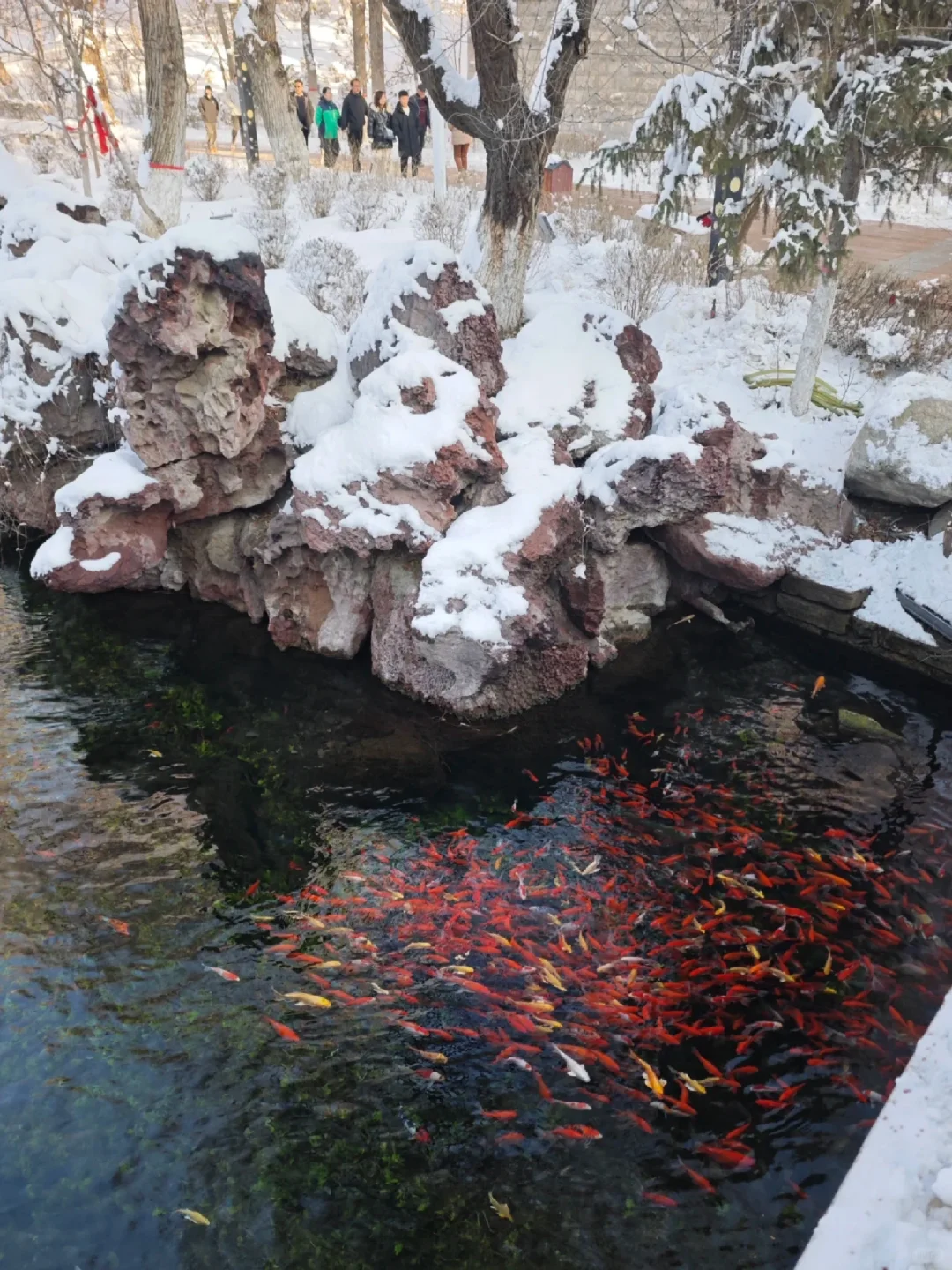 乌鲁木齐半日游—看雾凇的好去处❄️