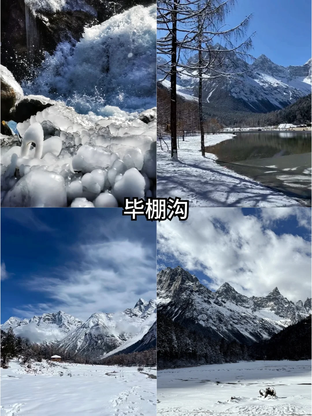 川西丨毕棚沟+四姑娘山⛰️纯玩2日