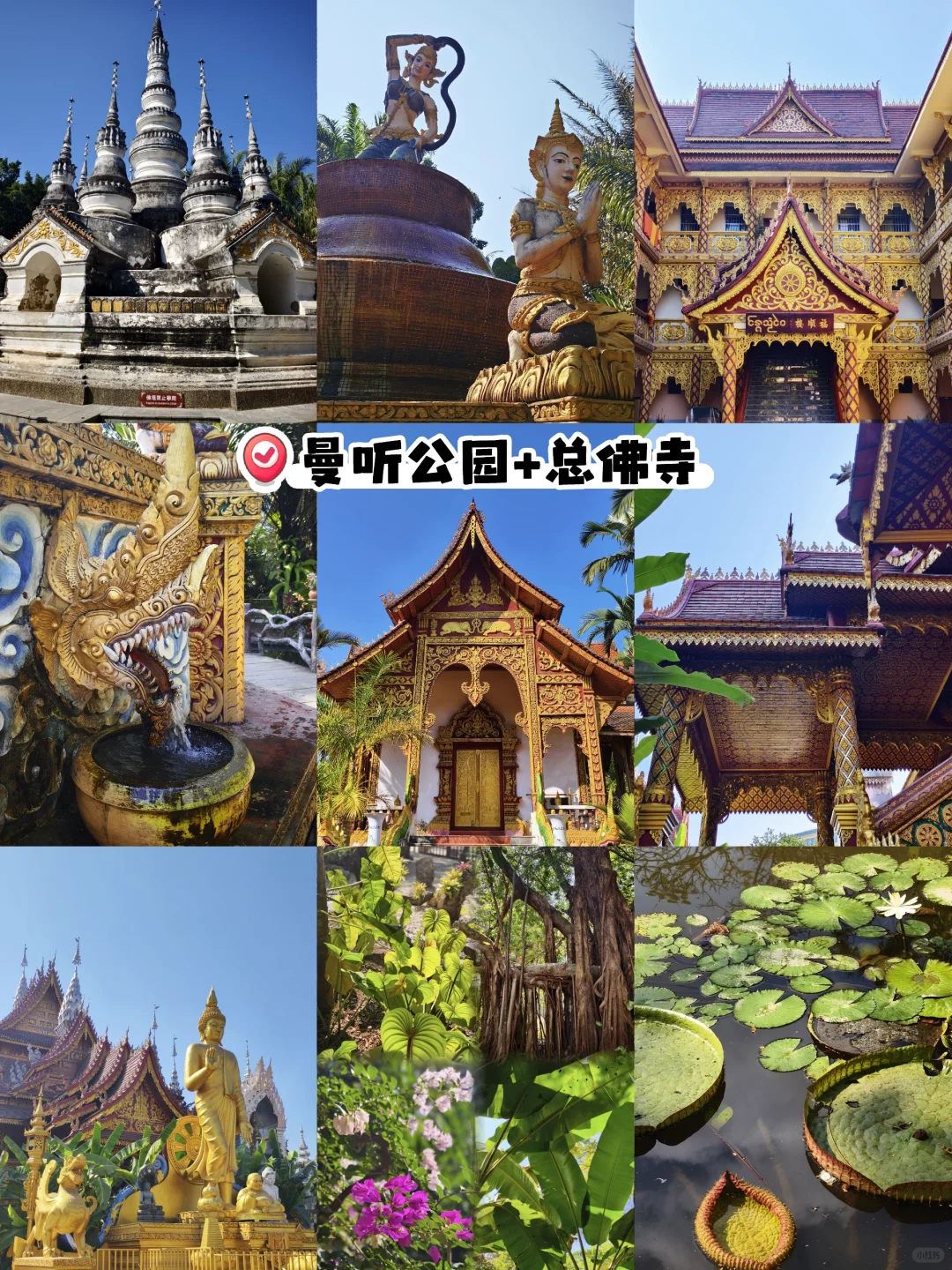 西双版纳|曼听公园+总佛寺