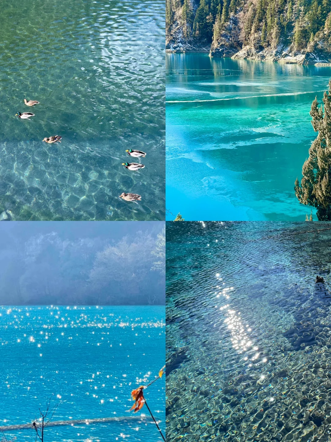 1.13九寨沟刚回，被自己带的衣服蠢哭了😭