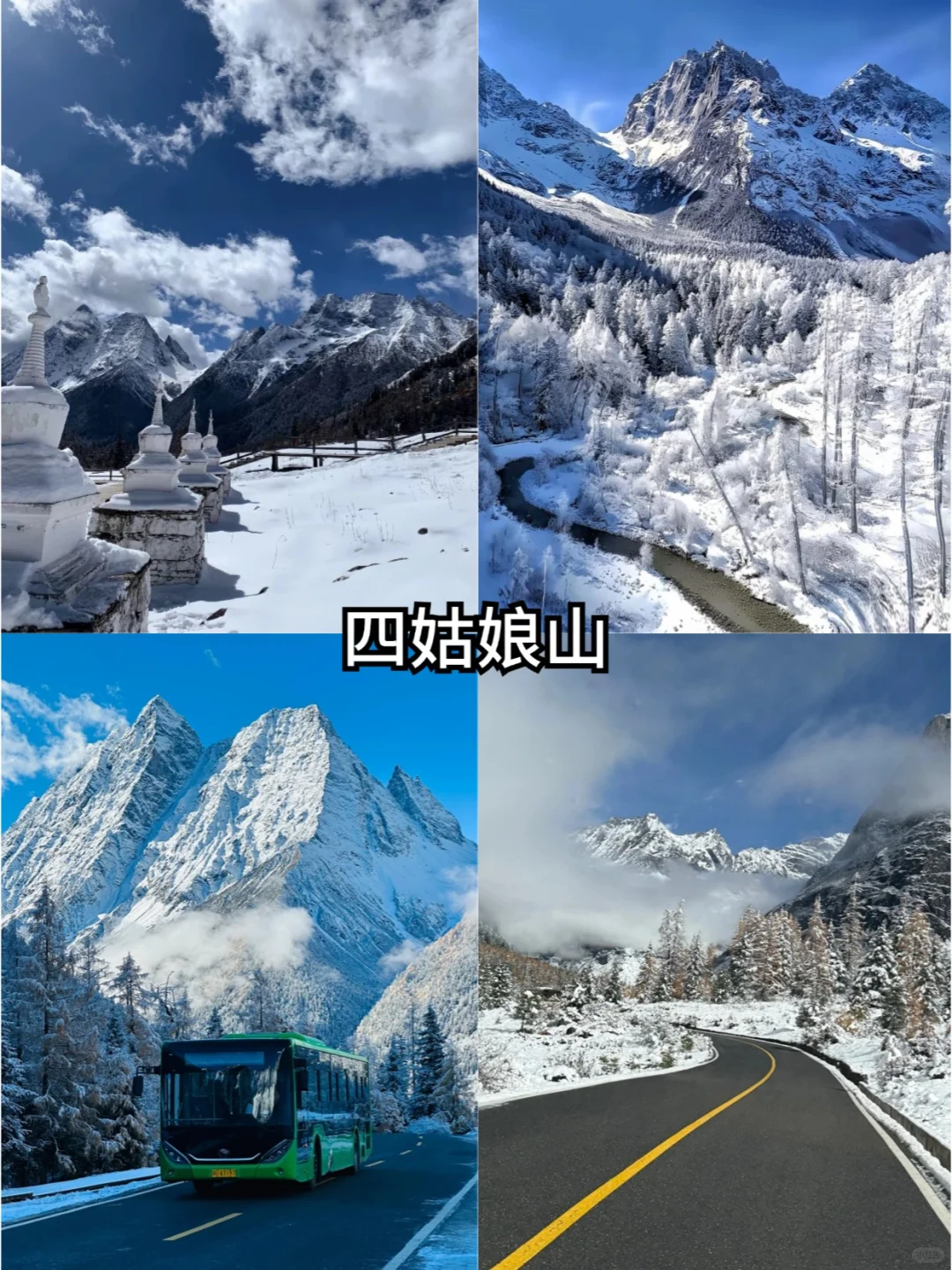 川西丨毕棚沟+四姑娘山⛰️纯玩2日