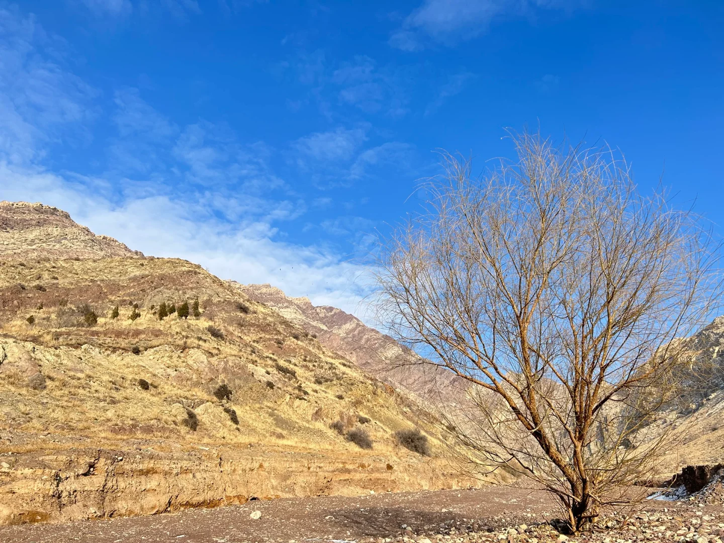 人在石嘴山,去哪里徒步?北武当攻略来啦
