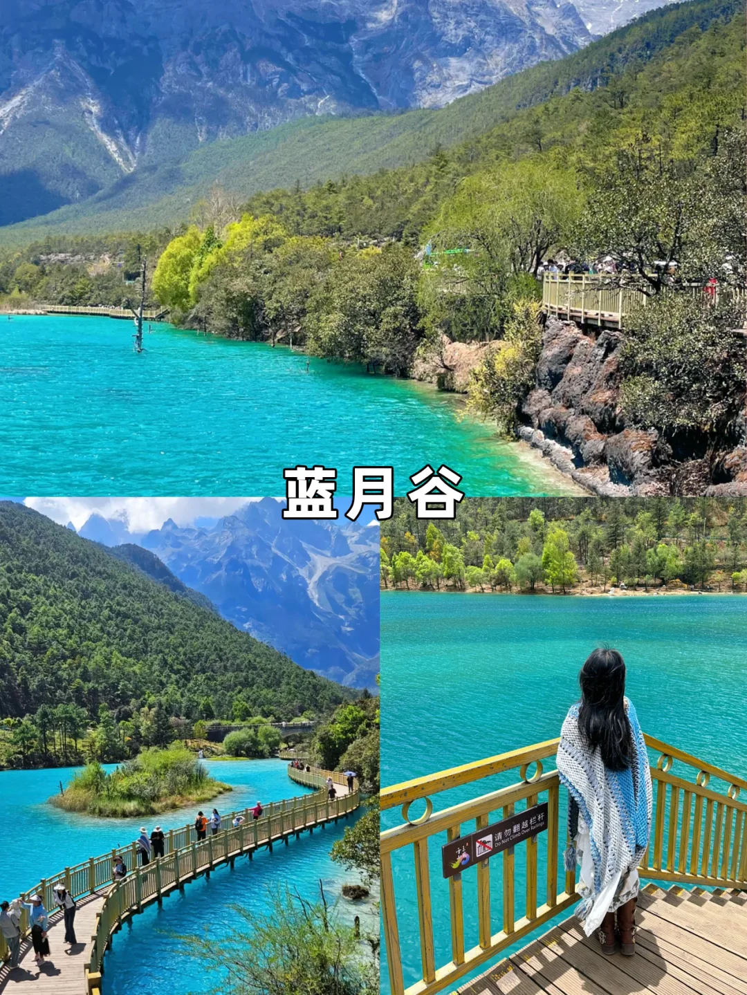 1月去云南旅游的姐妹👭听劝