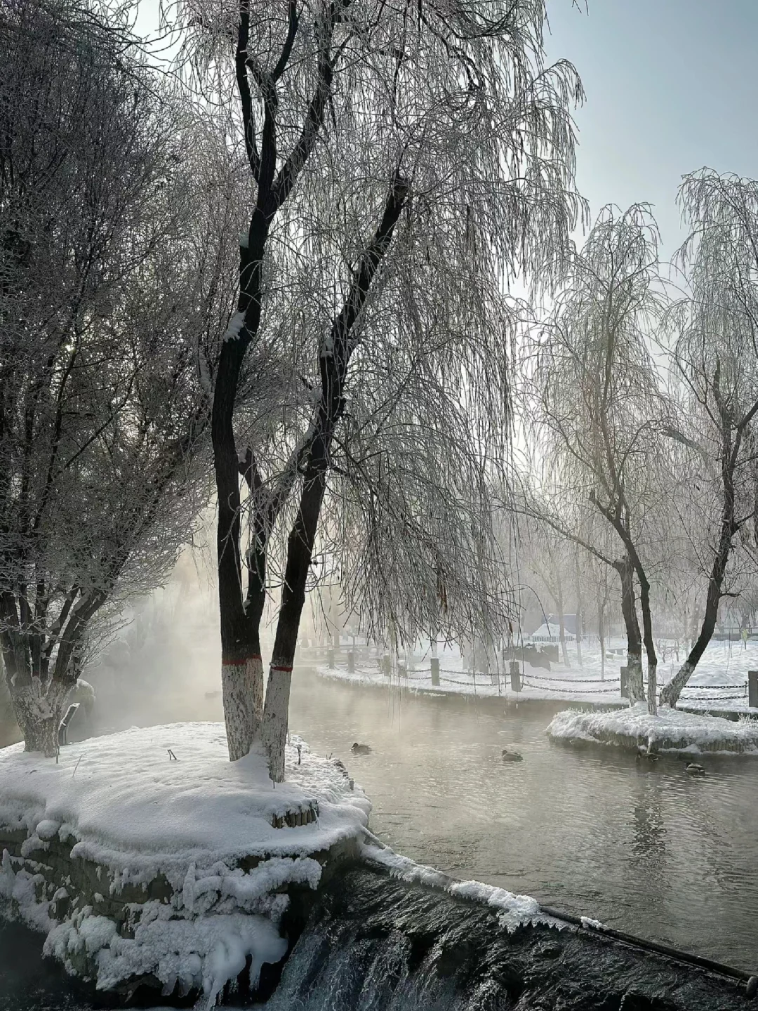 乌鲁木齐半日游—看雾凇的好去处❄️