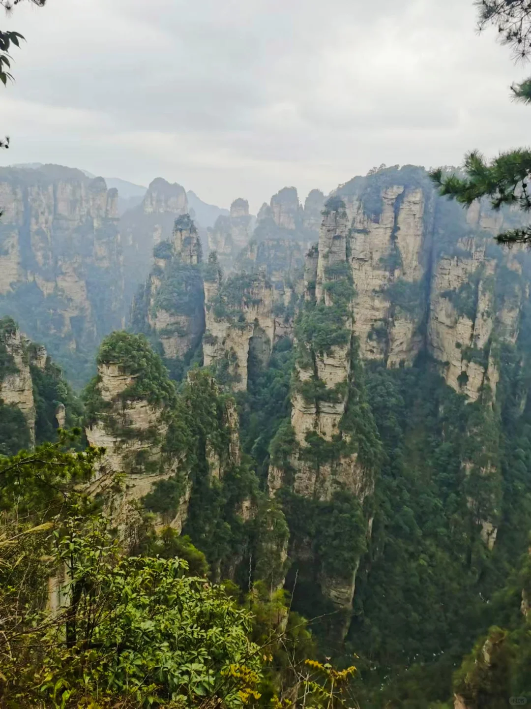 迷失在武陵源的人间仙境里｜来张家界吧