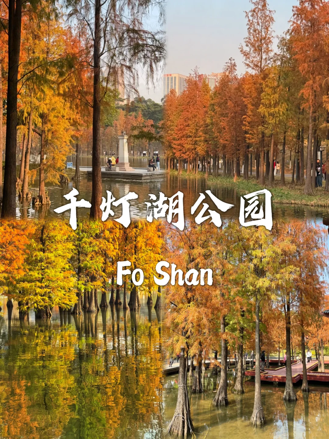 来佛山旅游就去这九个地方❗❗