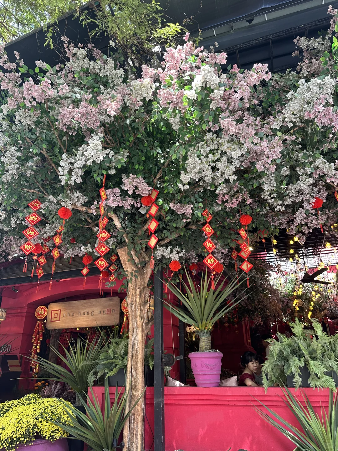 越南旅游🇻🇳亲测安全且值得去！！