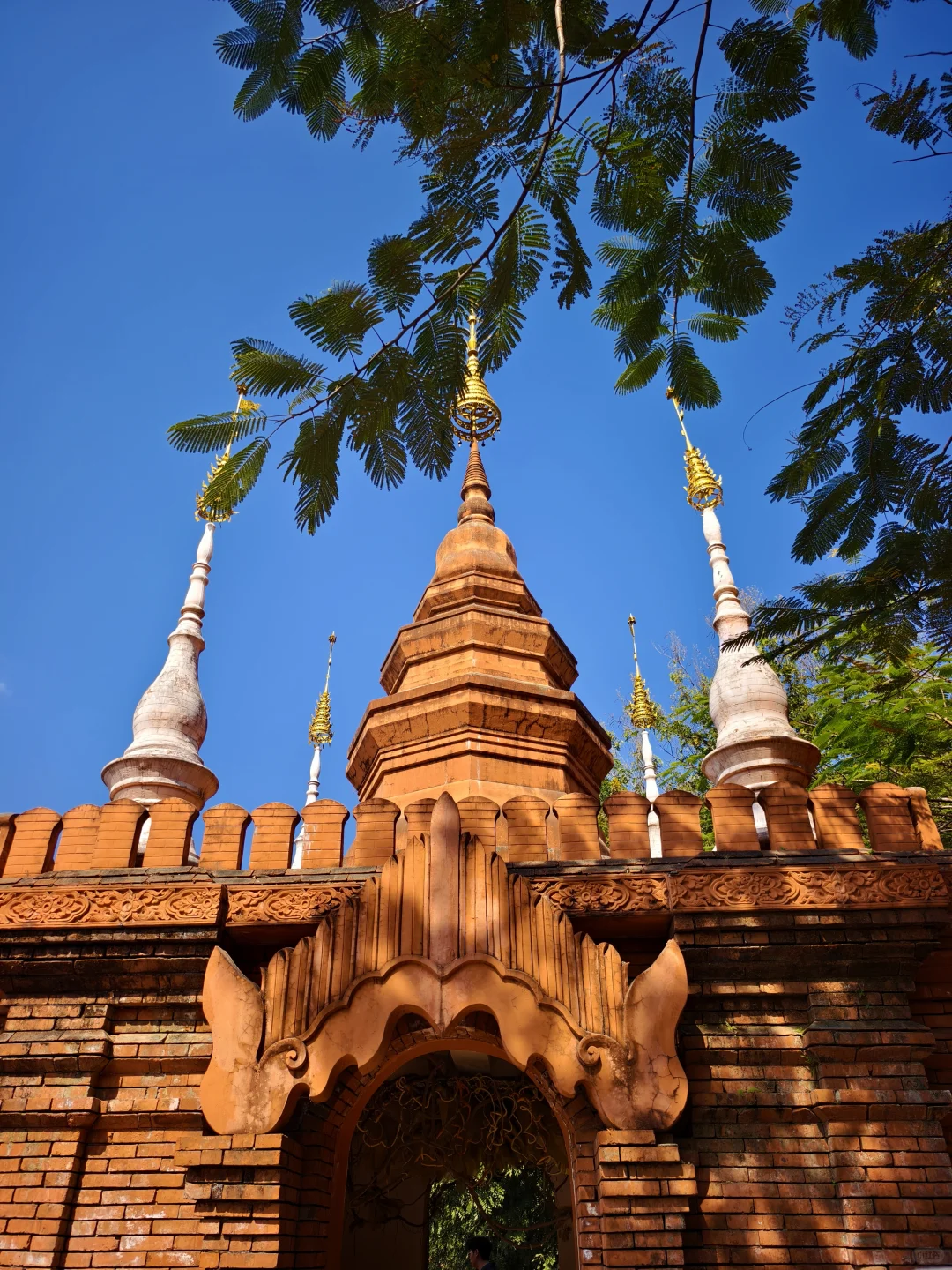 西双版纳|曼听公园+总佛寺