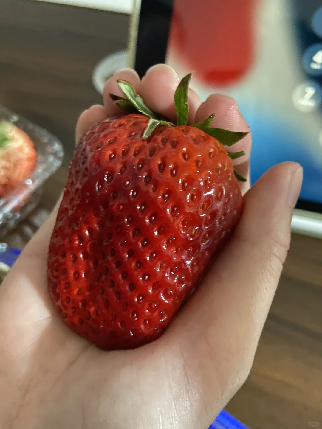 上年东北旅游行程,给大家一点参考