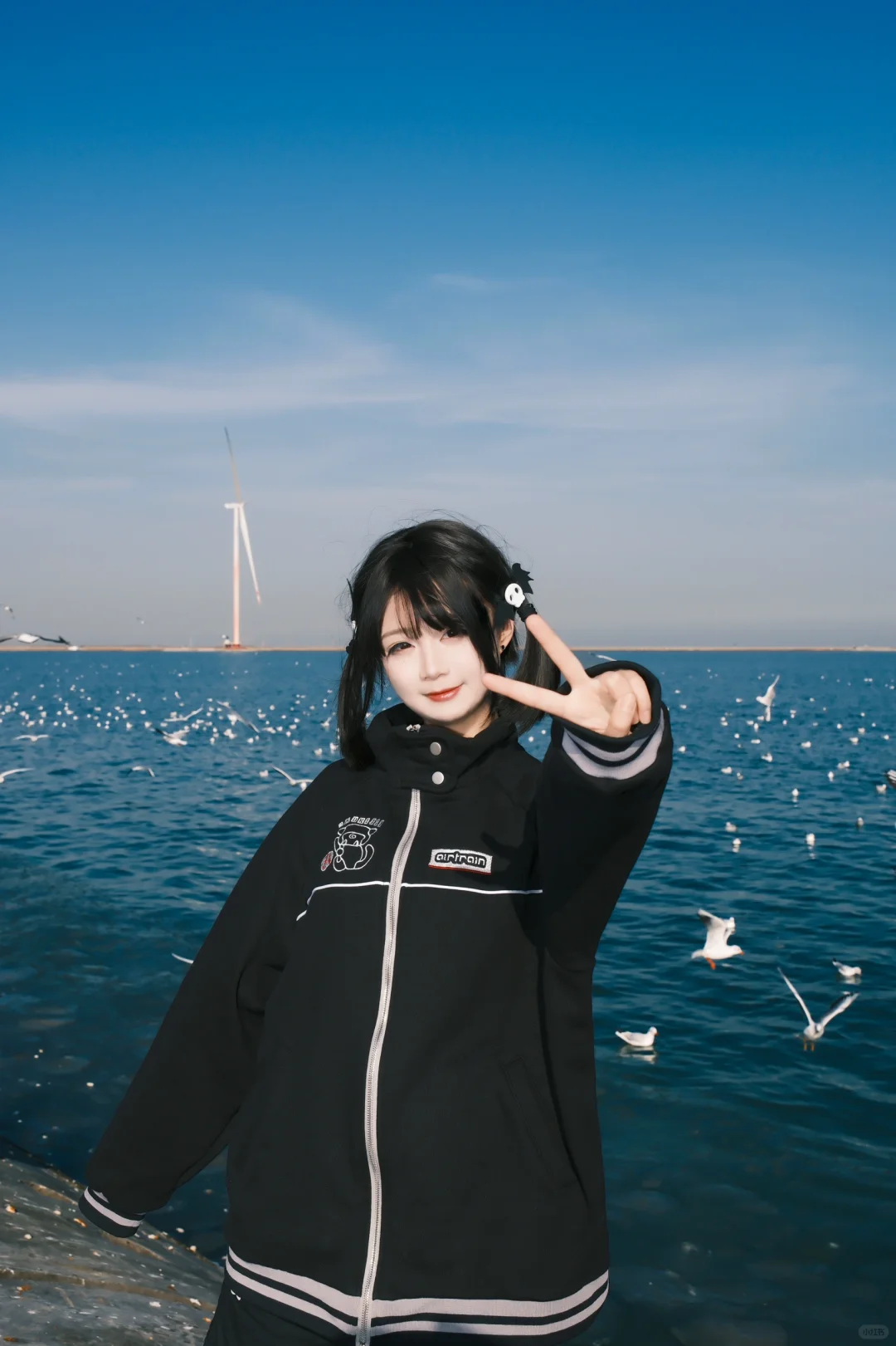 海边的甜妹与海鸥!