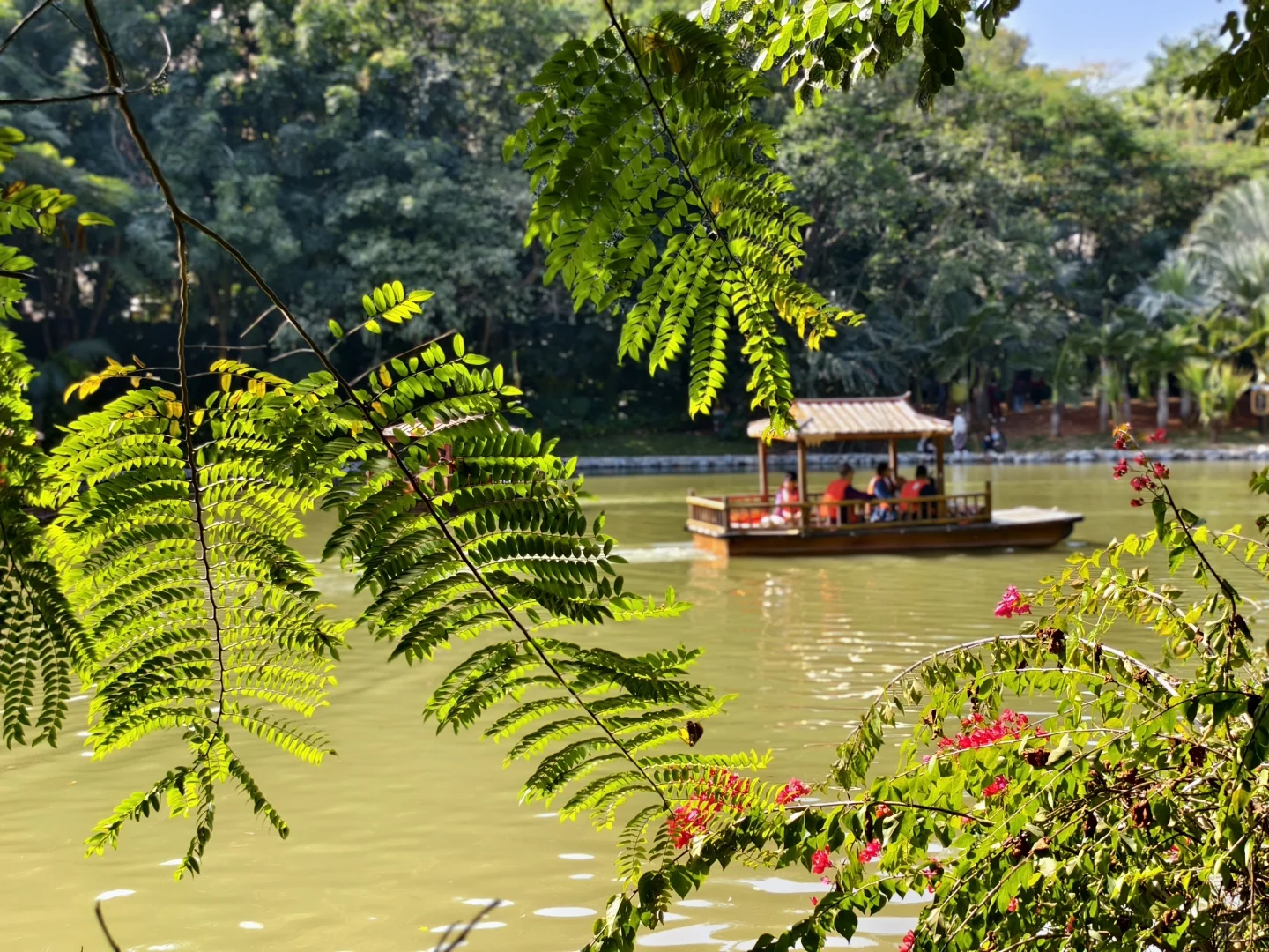西双版纳|曼听公园+总佛寺