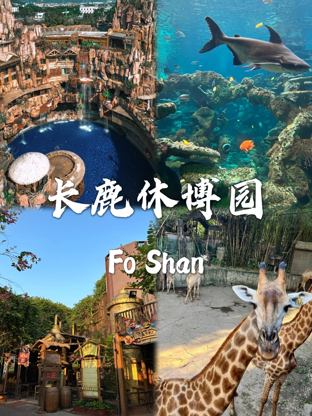 来佛山旅游就去这九个地方❗❗