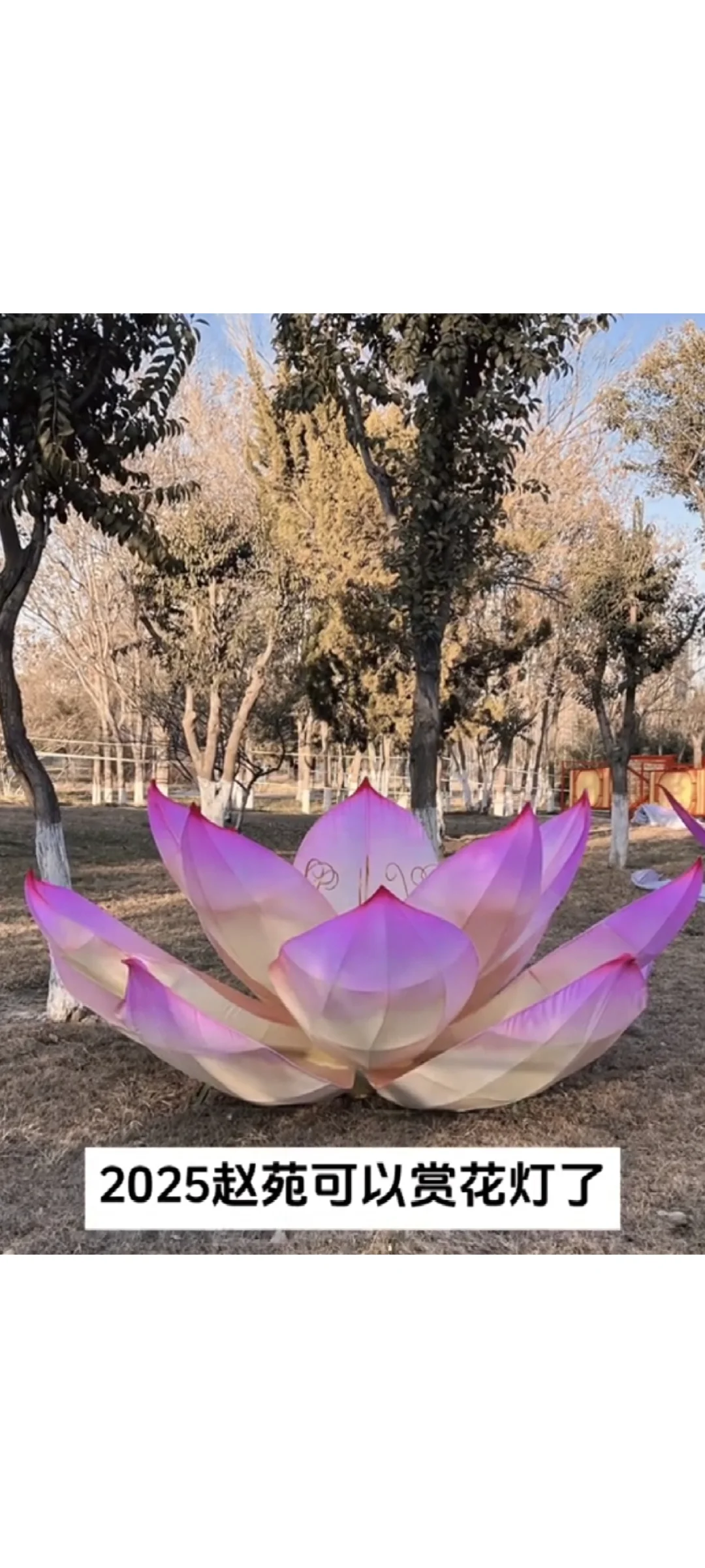 邯郸又放大招了,首次千万级自贡灯会!