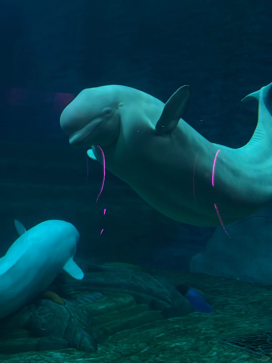 海南环岛旅游，真实感受总结！！