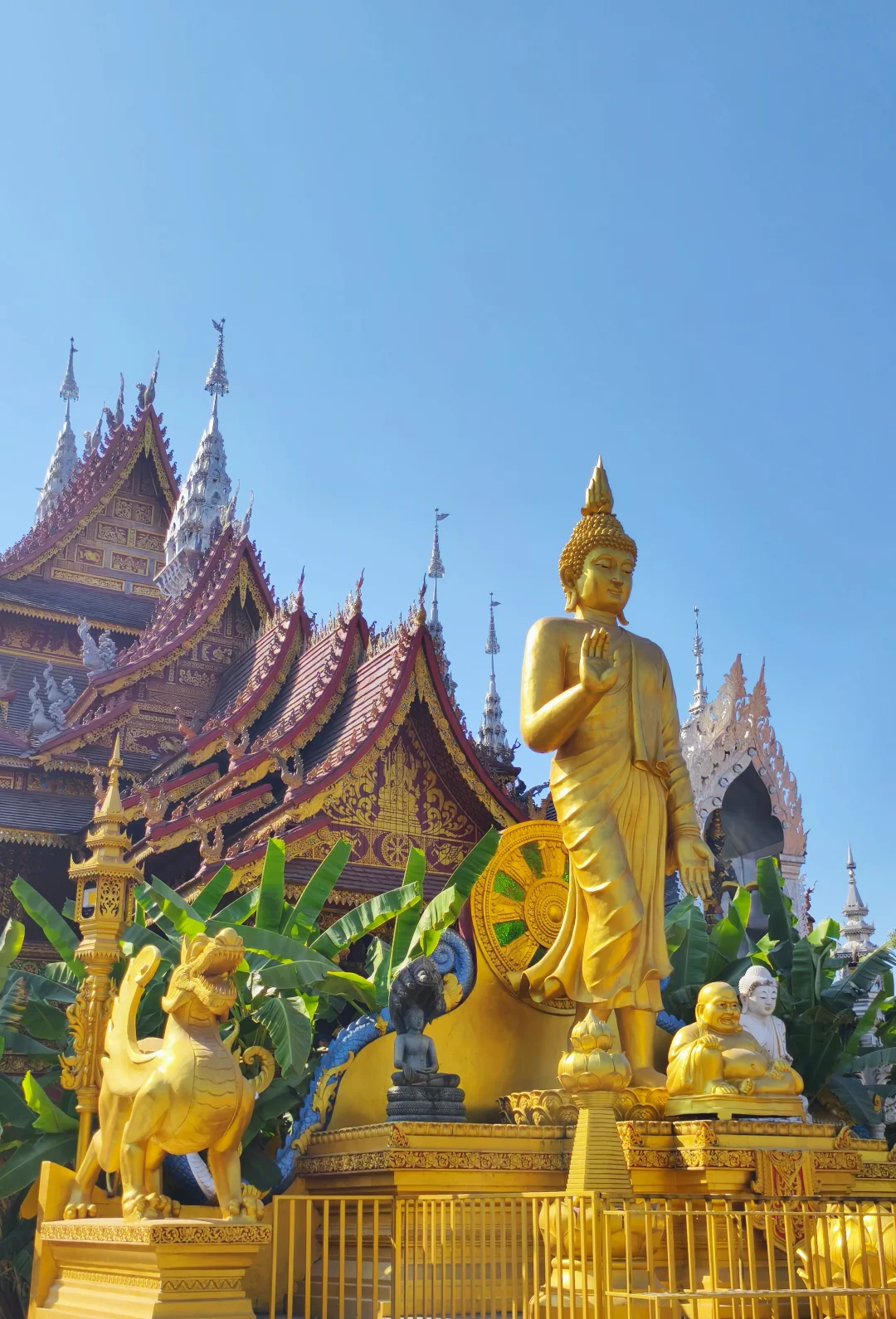 西双版纳|曼听公园+总佛寺