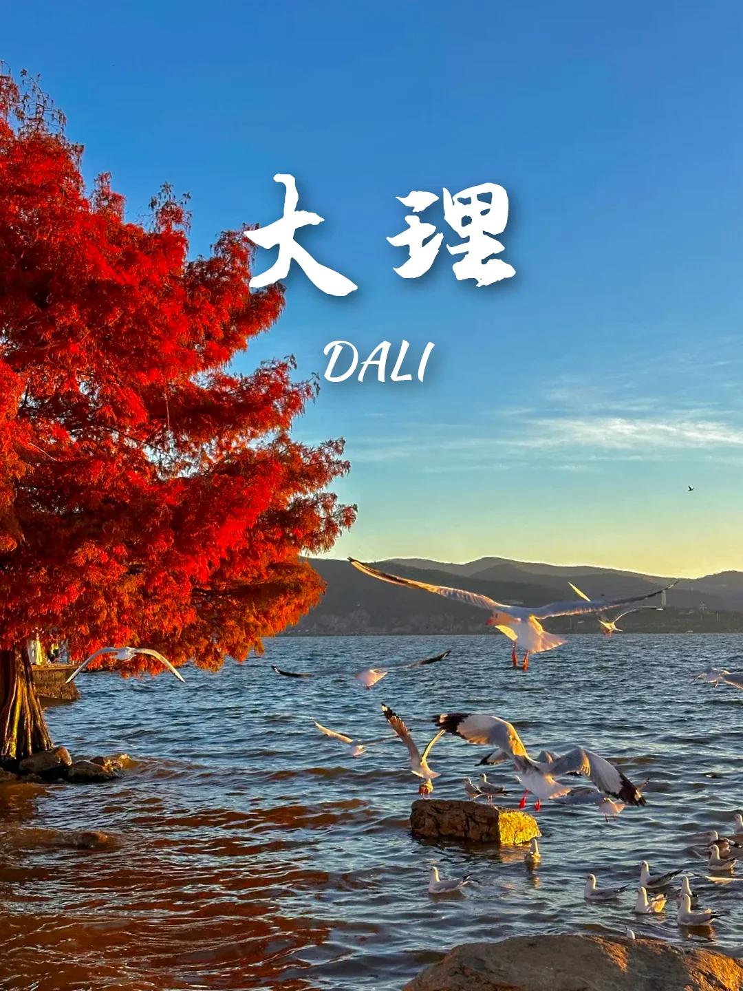 9个寒假暖冬好去处‼️怕冷的宝宝冲