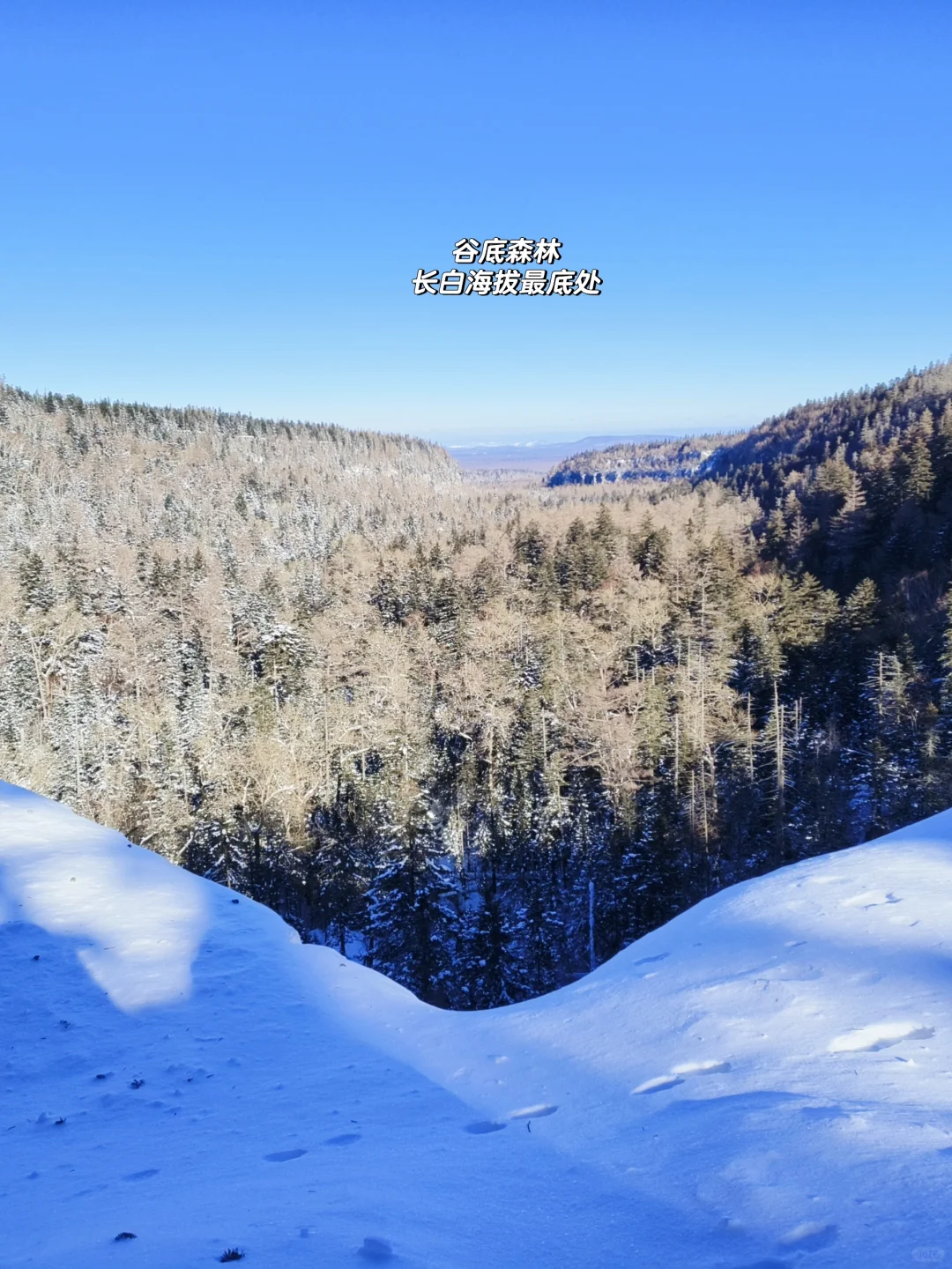 长白山天池不开放！来都来了，还可以玩些啥