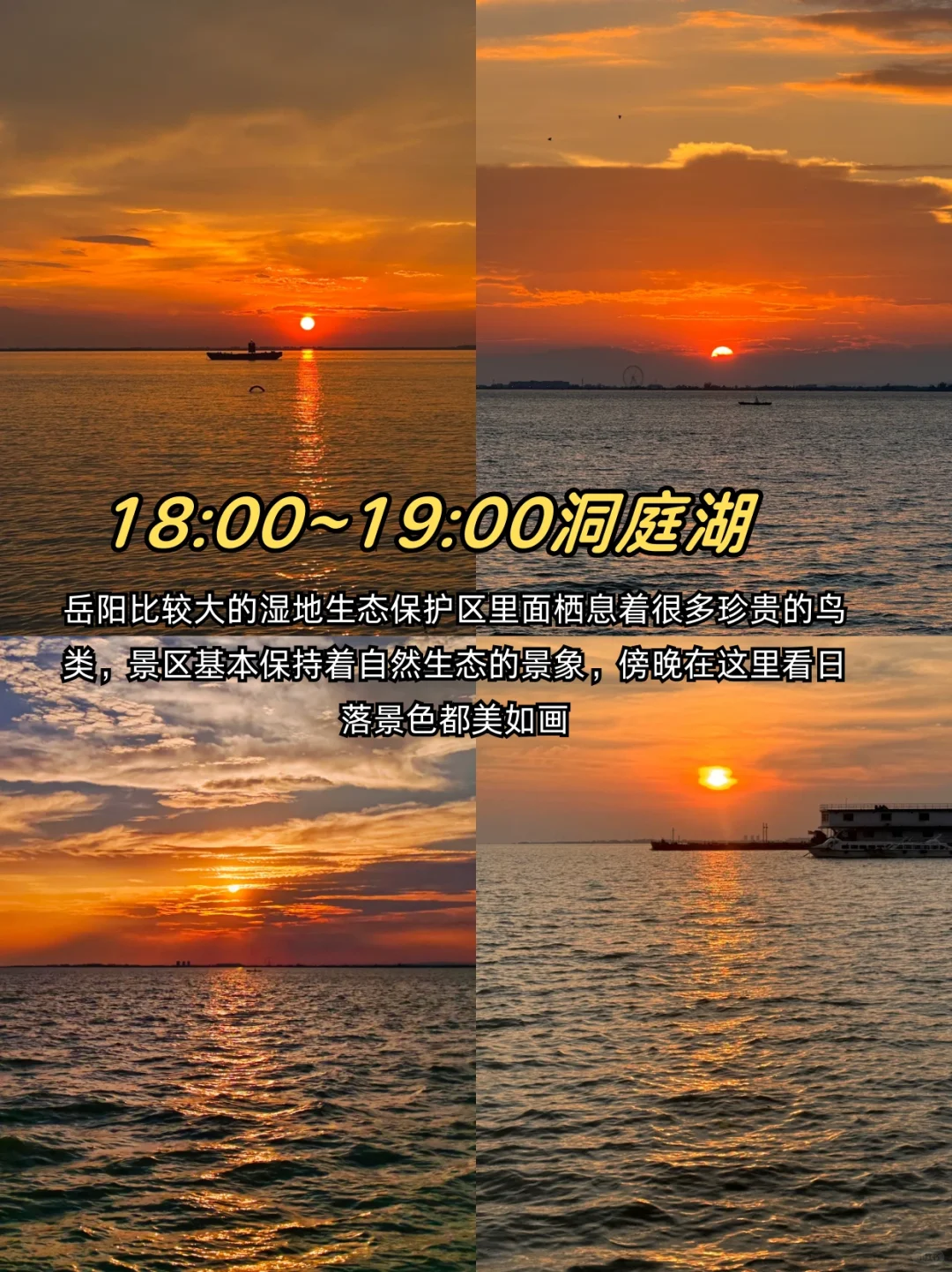 岳阳极限一日游！！附详细景点攻略✅