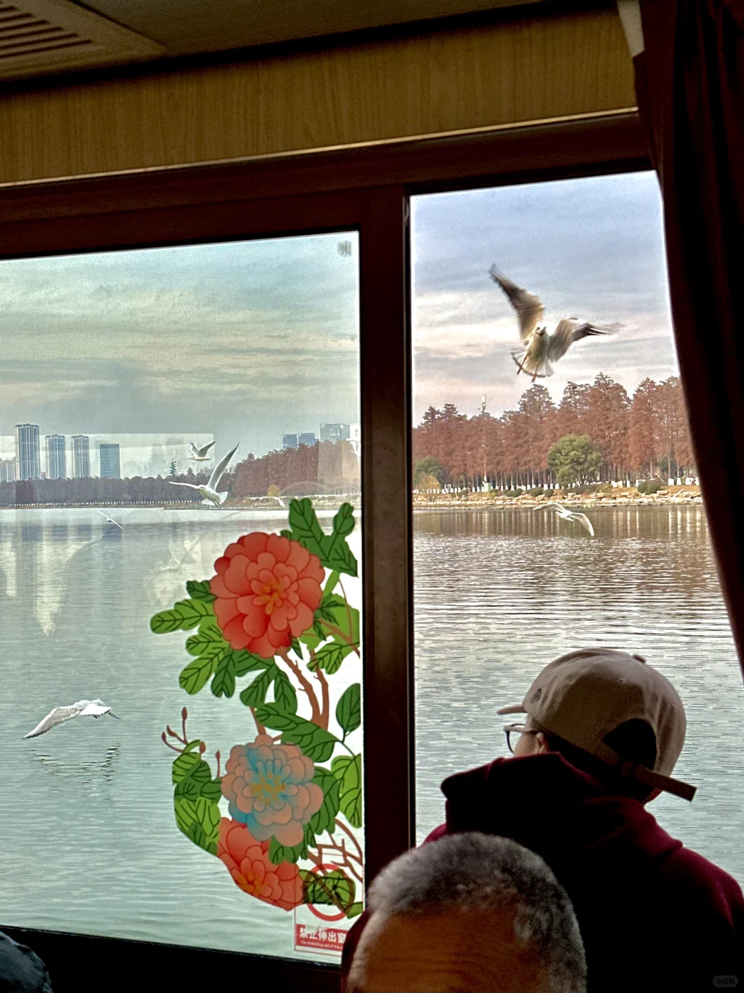 不是大理去不起，而是东湖更有性价比！！！