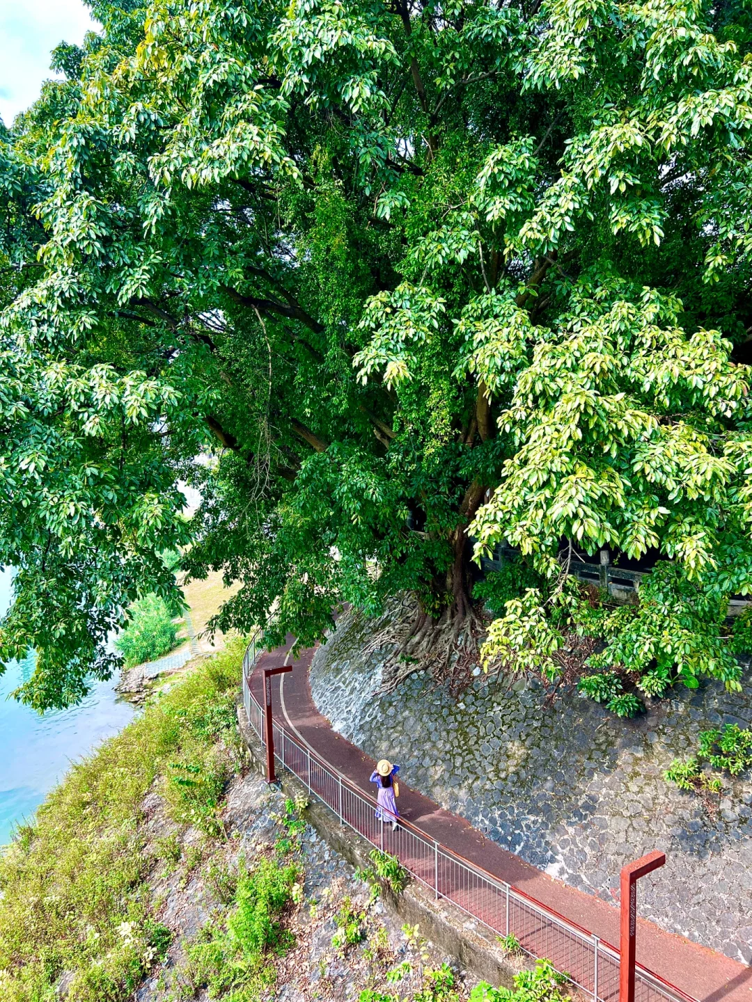 第一次来南宁❗️请直接复制这条3天游线路‼️