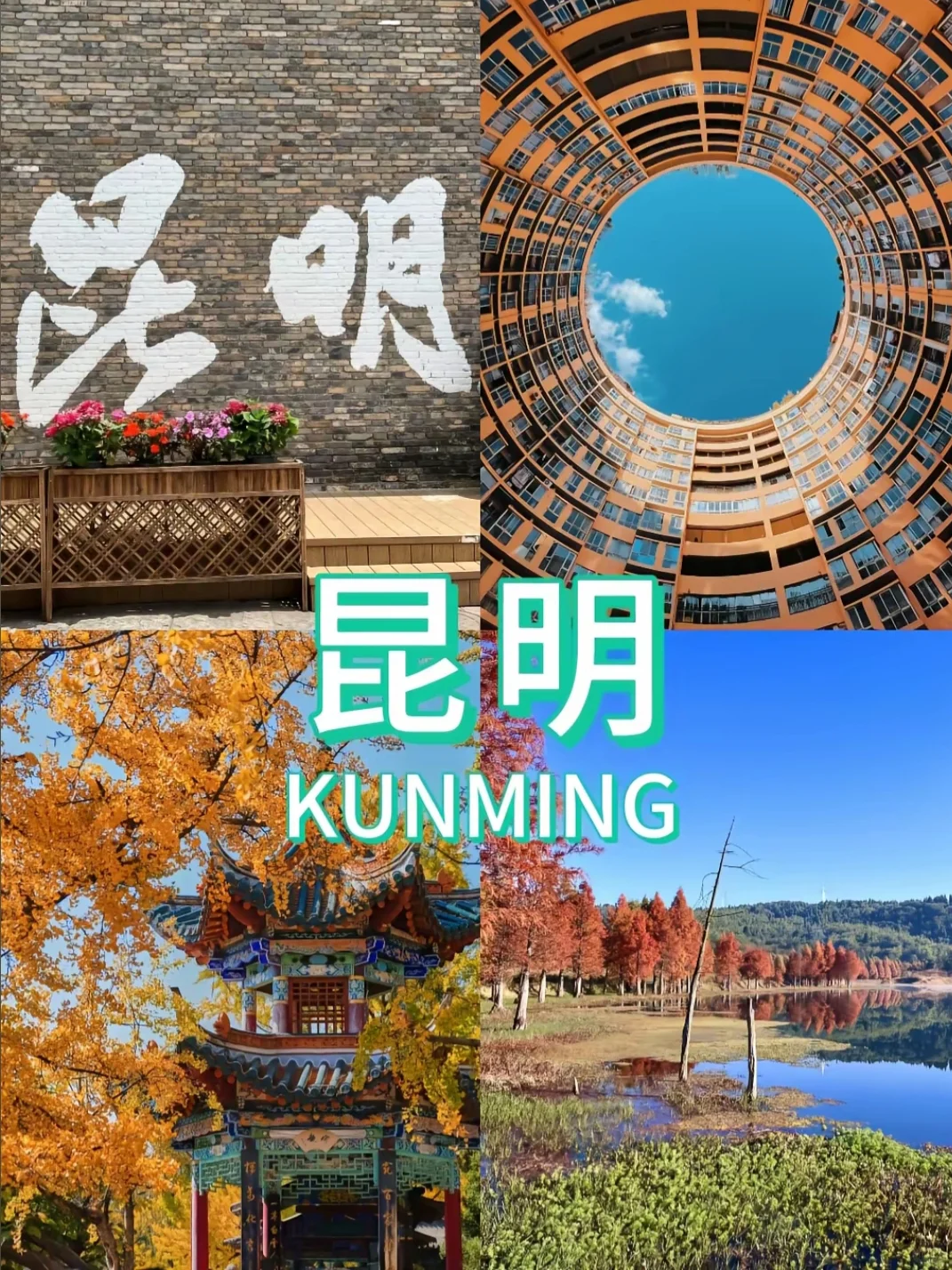 冬季反向旅游9个避寒城市🏝收藏好啦‼️