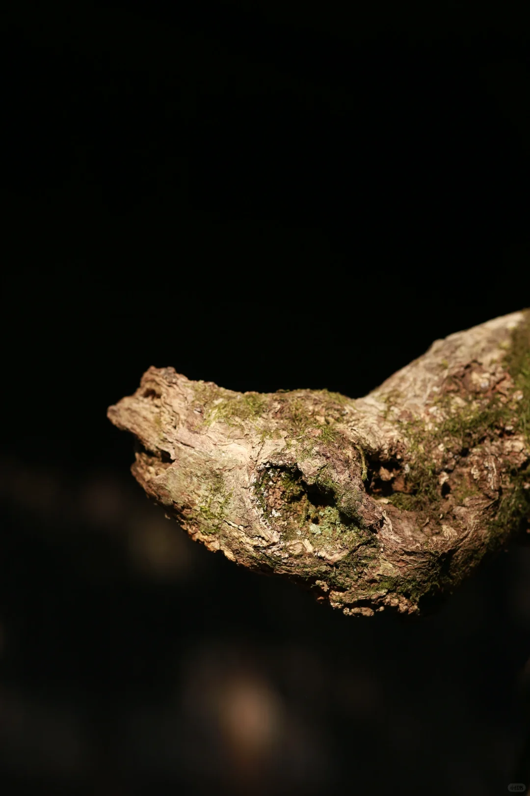 国清寺 一个免门票的5A级景区