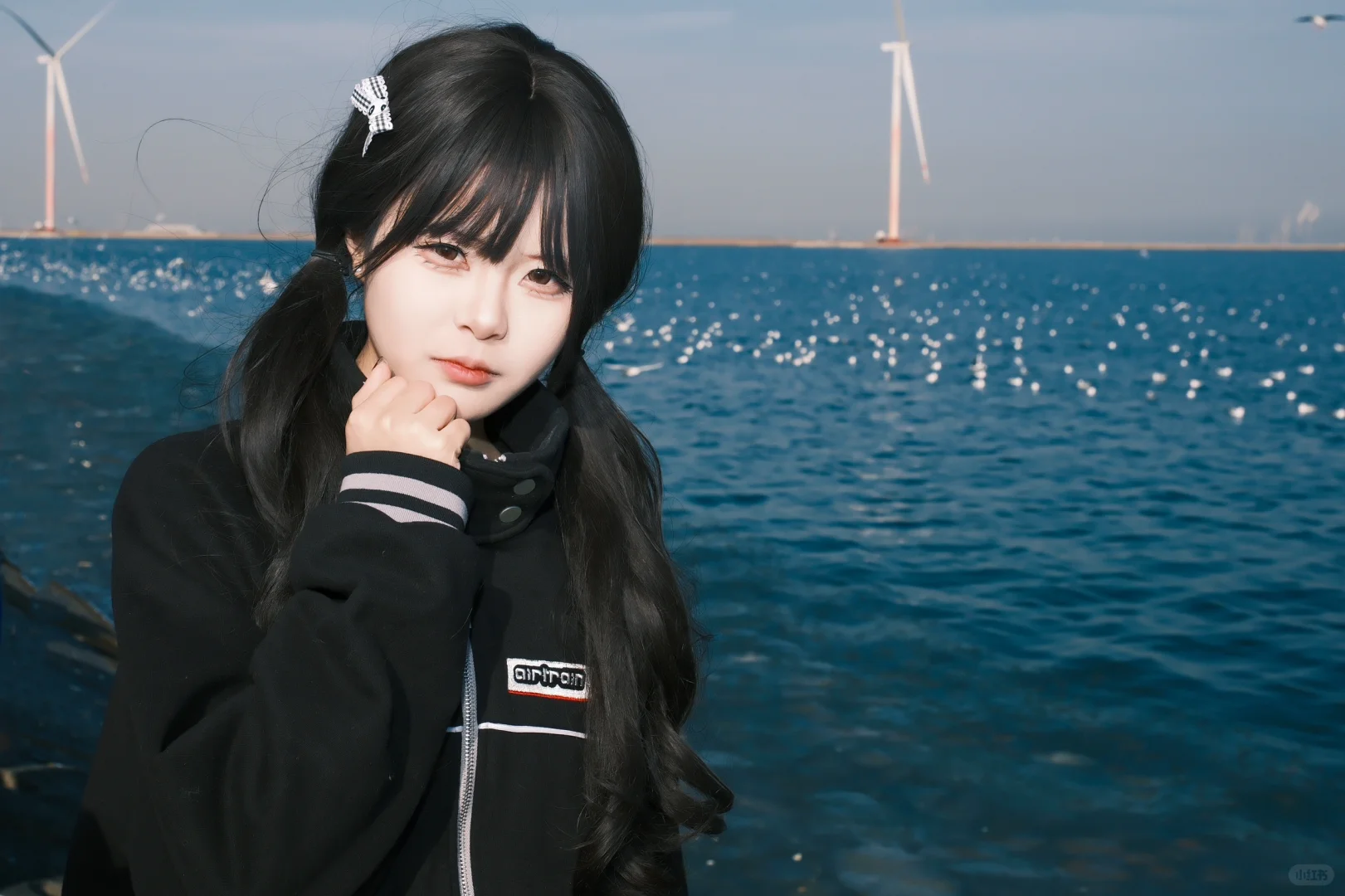 海边的甜妹与海鸥!