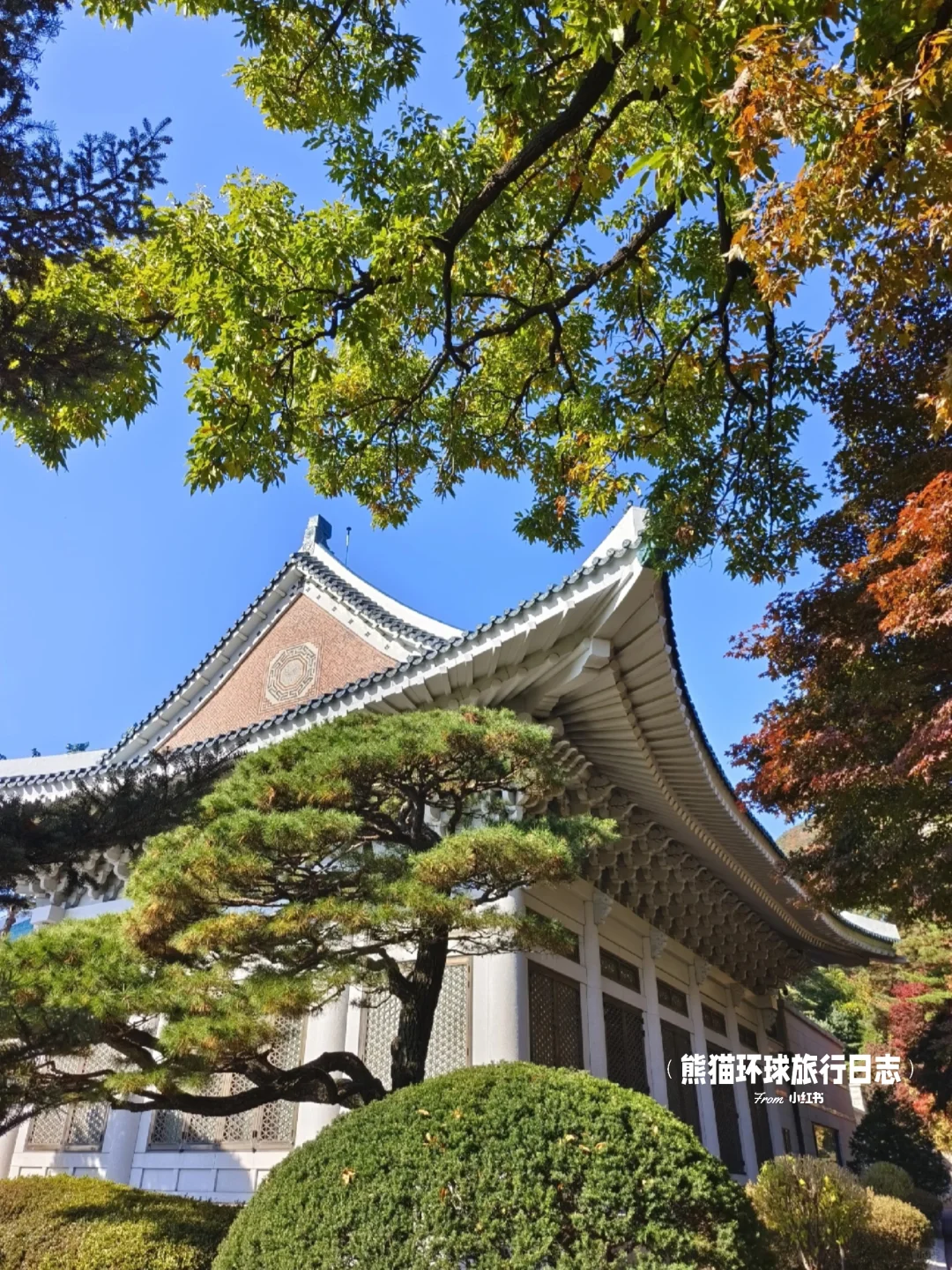 🫶韩国首尔懒人版攻略|超详细齐全版🔎