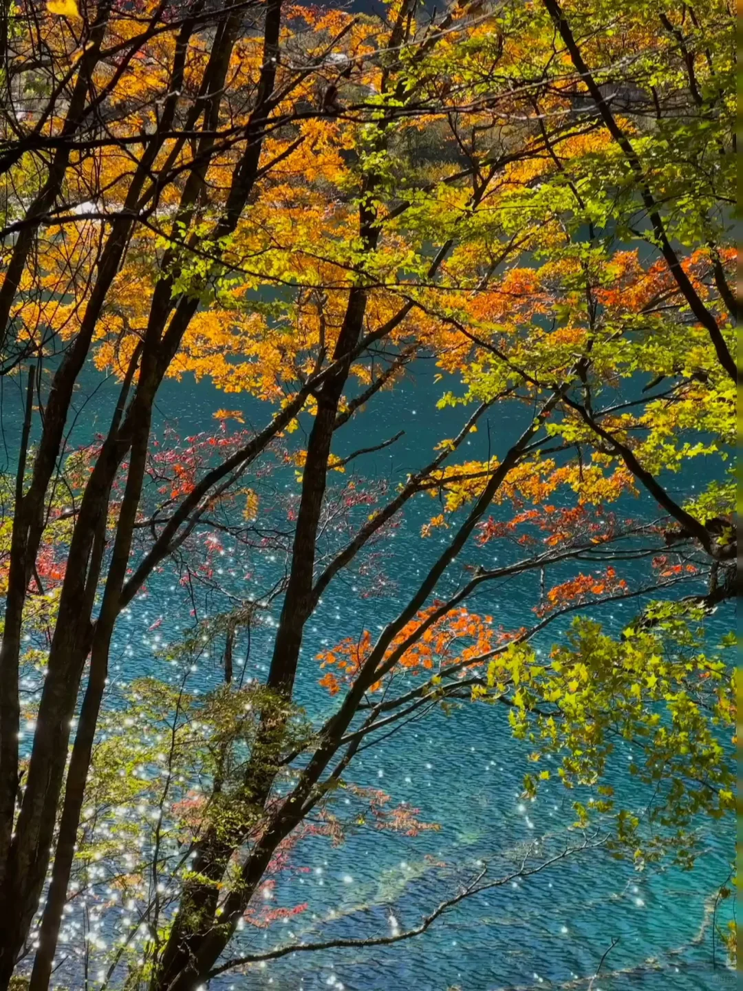 四川旅游🗺️攻略➰土著整理不绕路行程➕建议