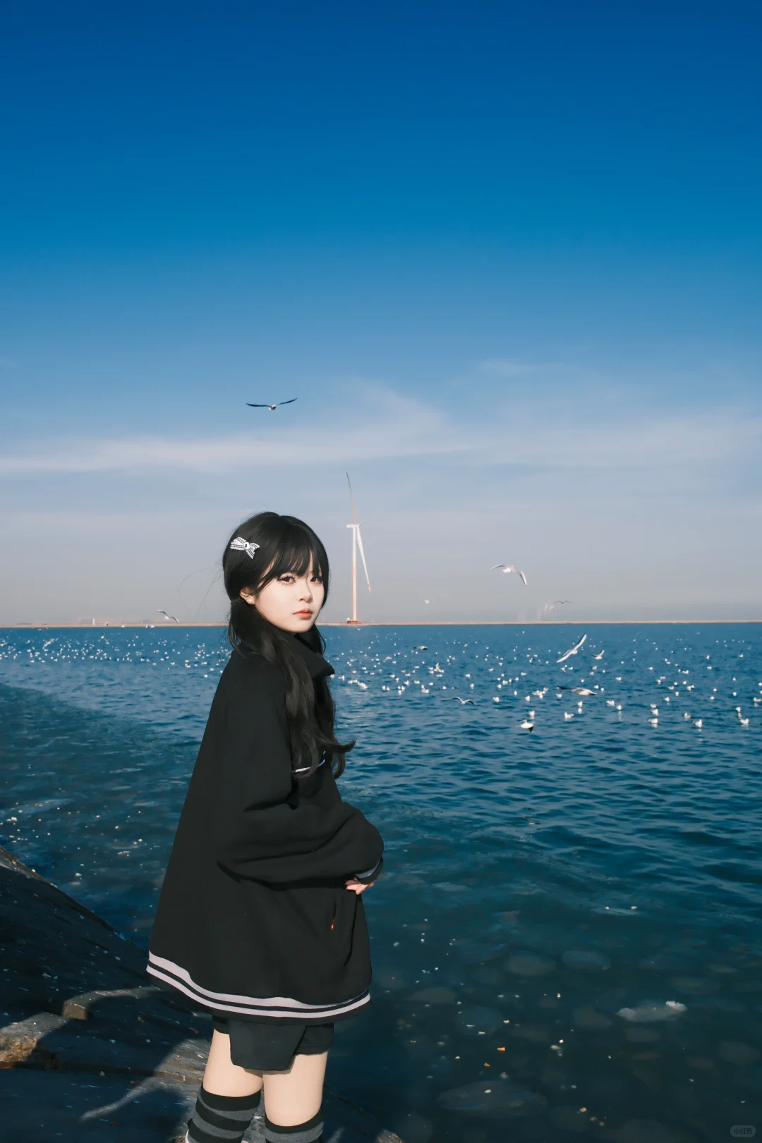 海边的甜妹与海鸥!