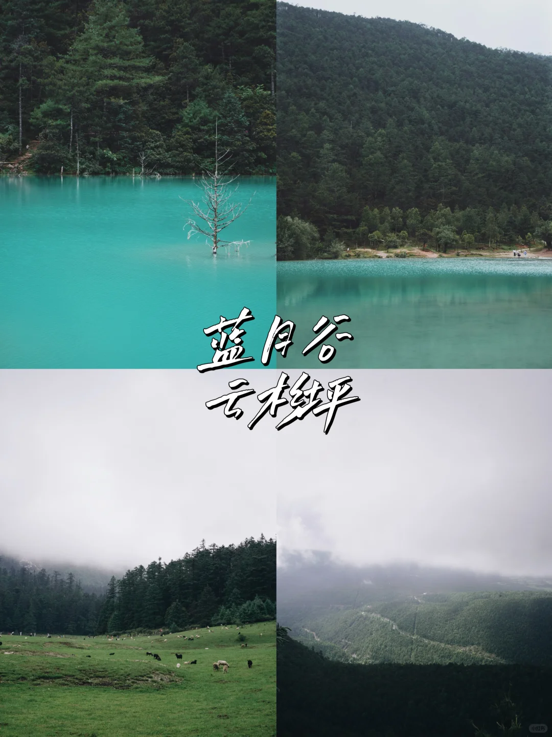 大学生旅游勇闯云南！穷游7天仅花RM2400‼️🥳