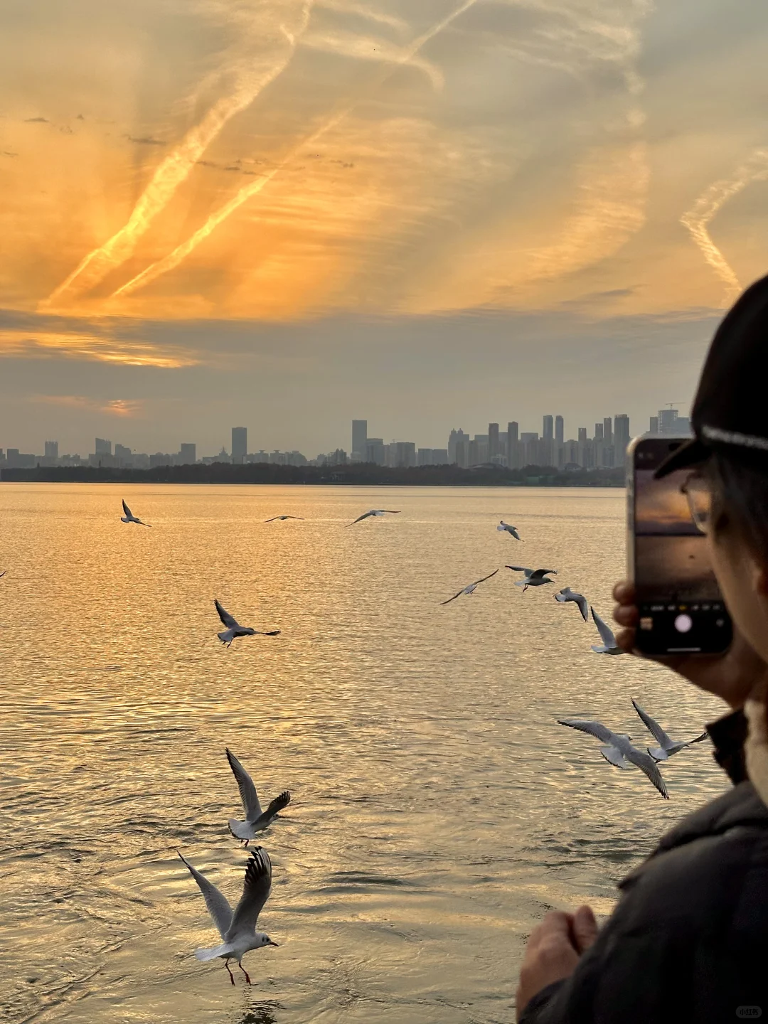 不是大理去不起，而是东湖更有性价比！！！