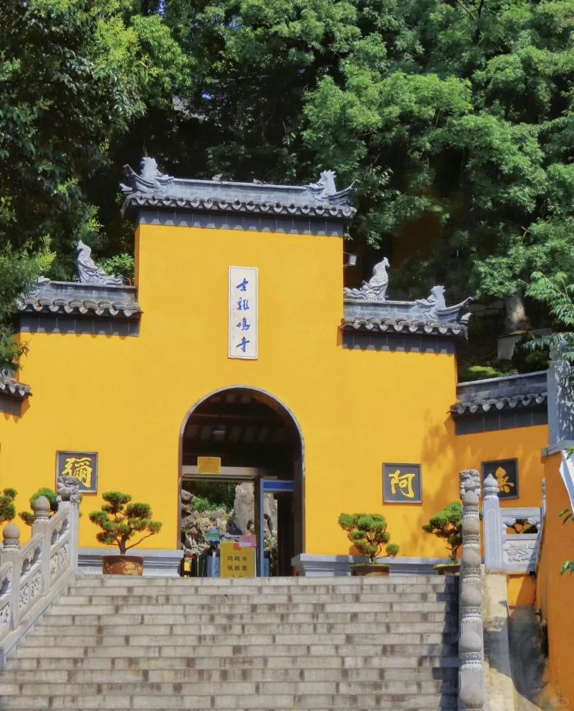 我的南京一日游攻略已经是next level 了!