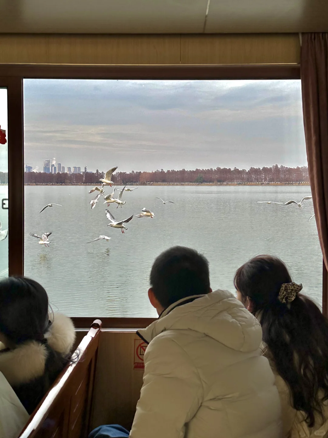 不是大理去不起，而是东湖更有性价比！！！