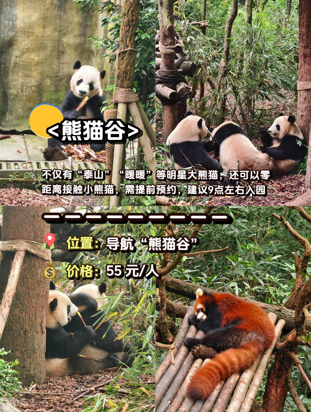 听劝‼️都江堰必去的1️⃣2️⃣ 大景点攻略💯