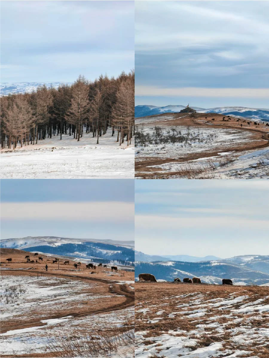 呼和浩特景点打卡