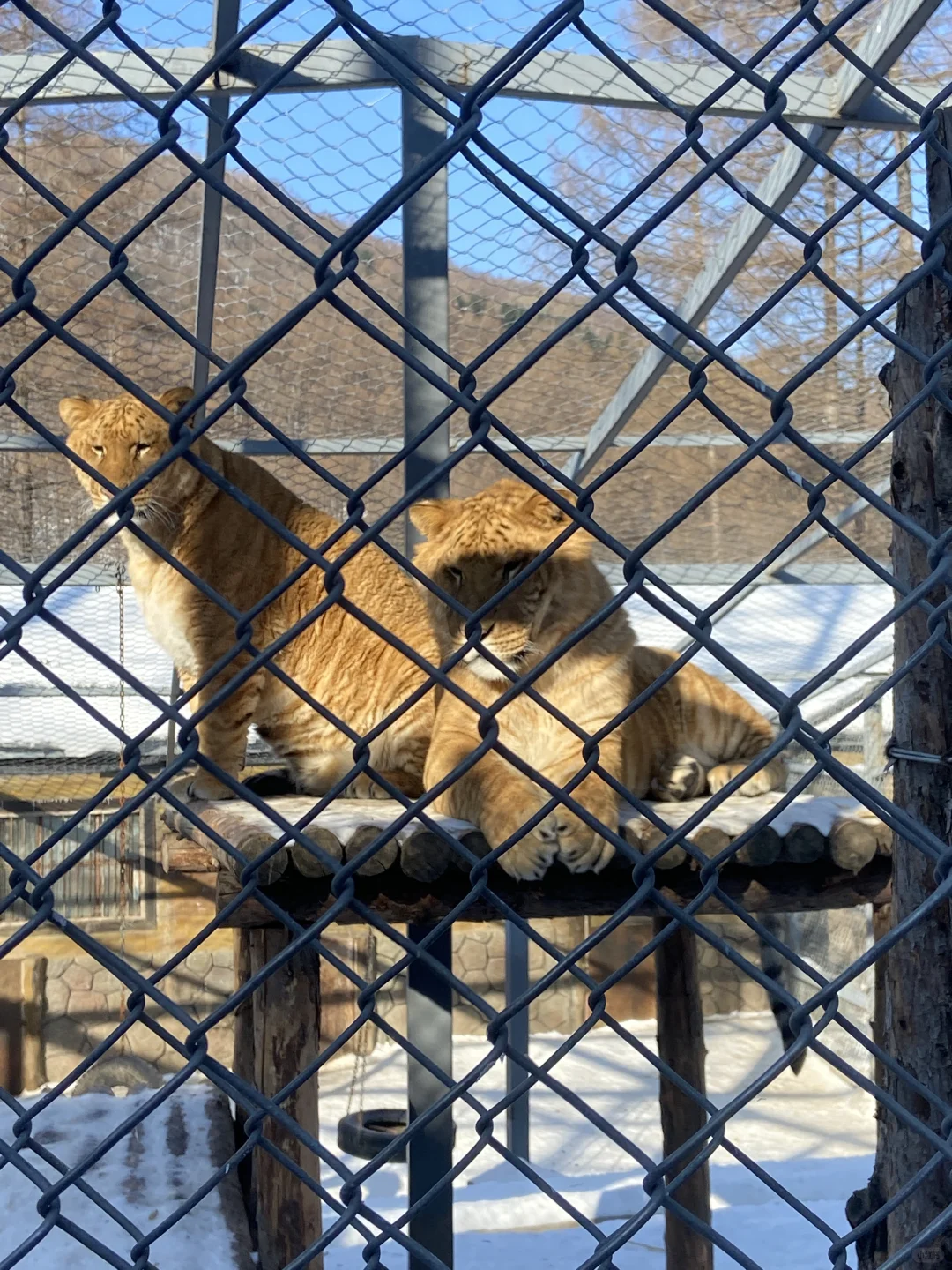 上年东北旅游行程,给大家一点参考