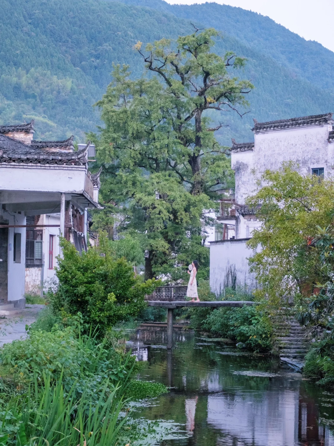 往返33次婺源，我最爱这9个免费古村落🌳