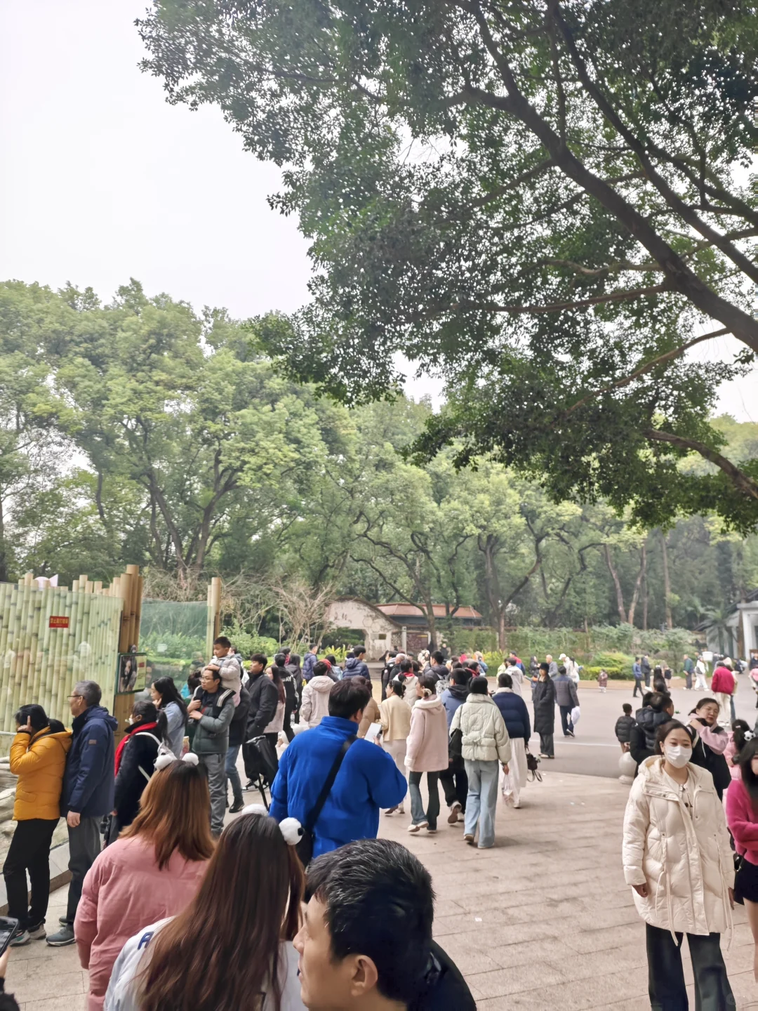 1.8重庆已回。。巨冷两人崩溃了😫