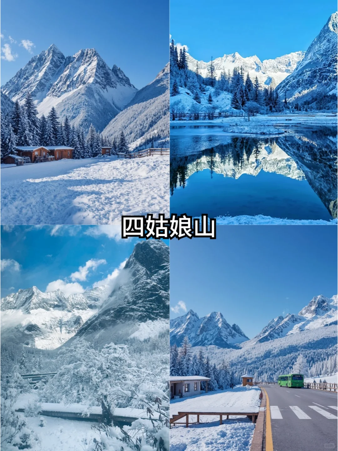 川西丨毕棚沟+四姑娘山⛰️纯玩2日