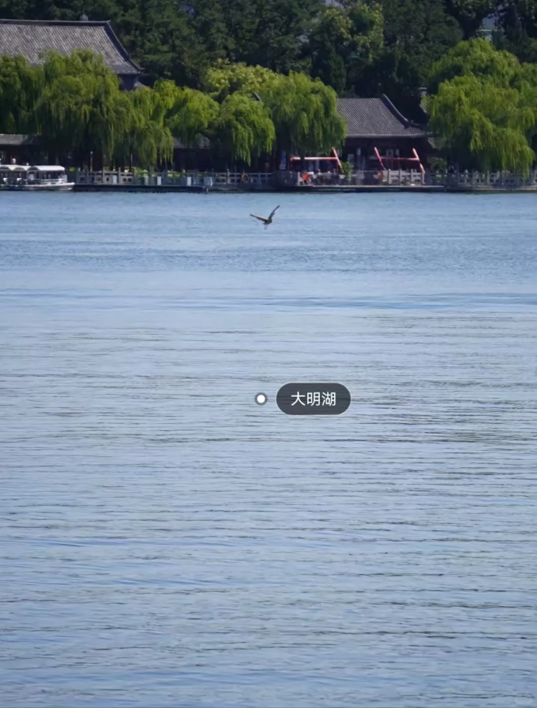 邯郸到济南一日游跟团游，邯郸周边游攻略