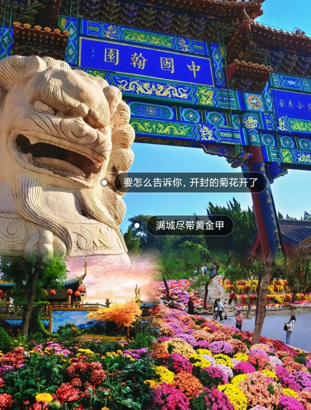 邯郸到开封菊花文化节，自由逛吃开封！