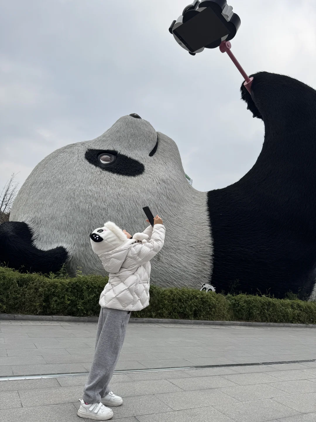 听劝‼️千万别直接去都江堰和熊猫谷