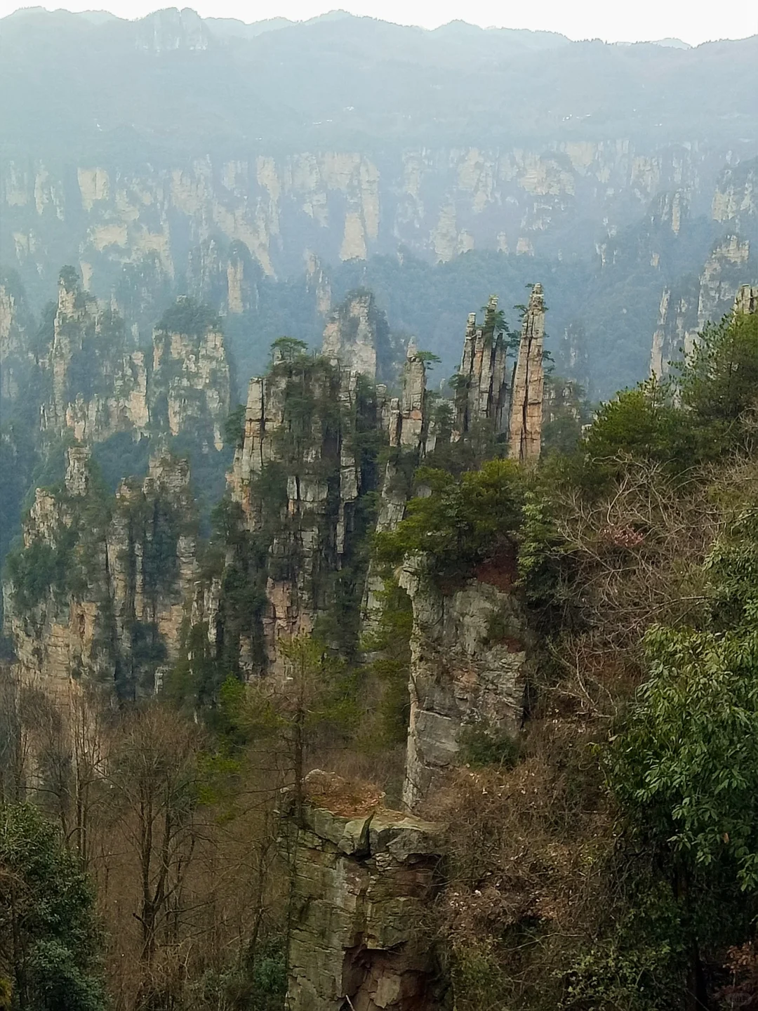 迷失在武陵源的人间仙境里｜来张家界吧