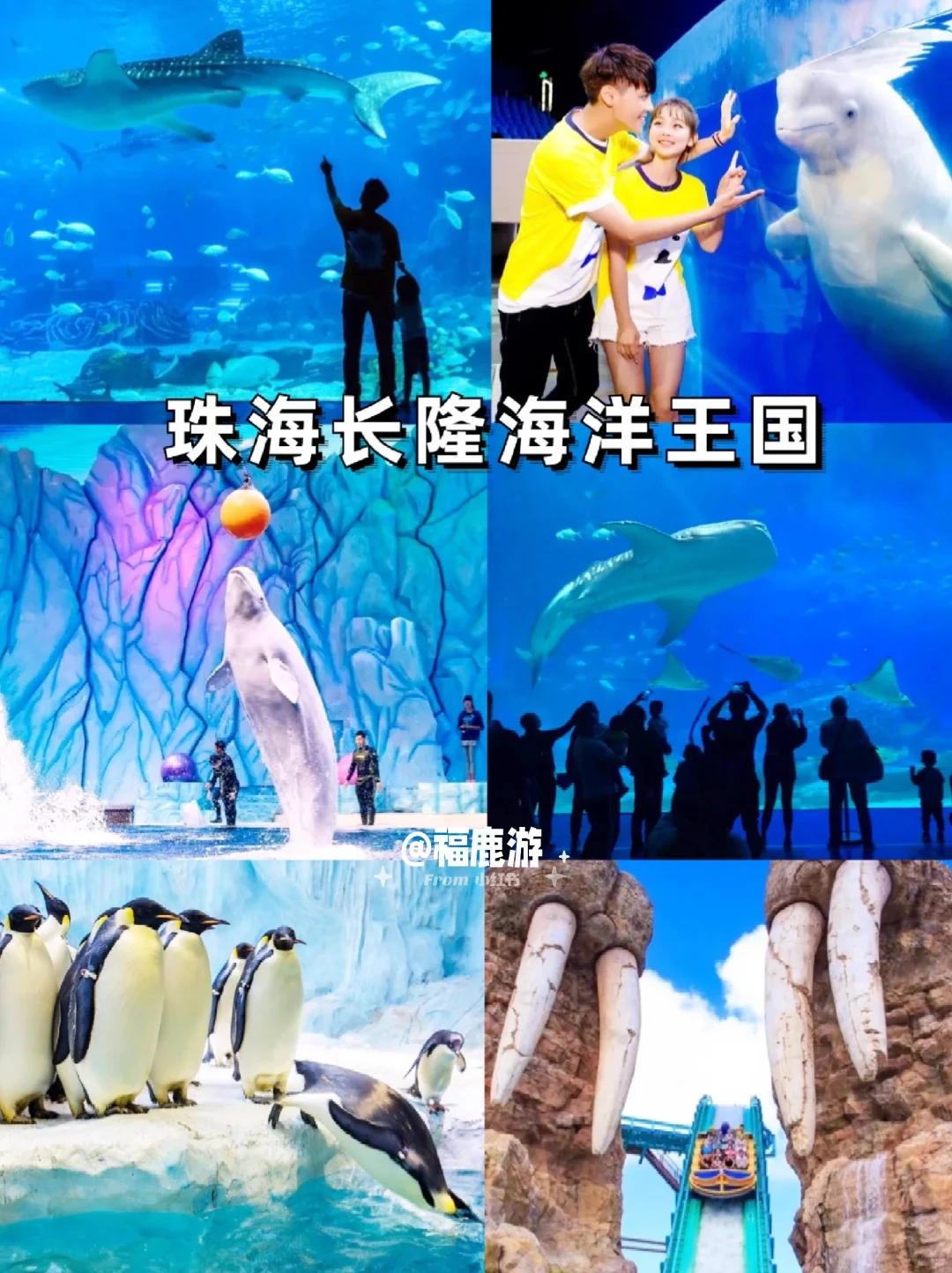 广东定制游|人均1000+😭老广带你游广东！