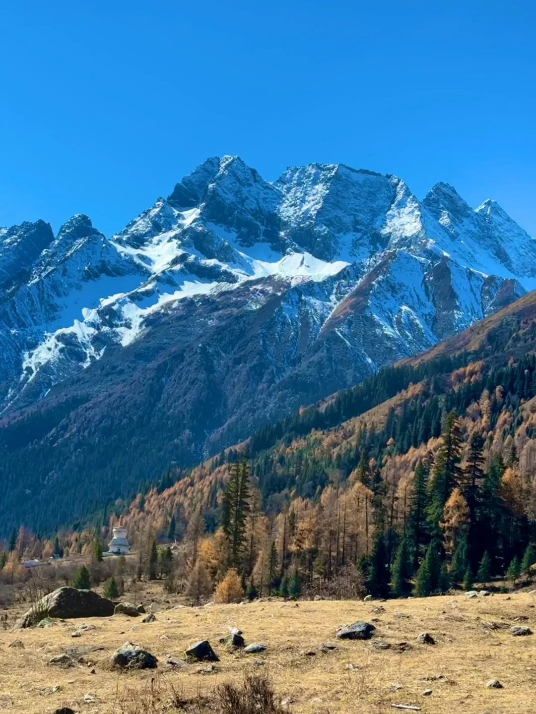 四川旅游🗺️攻略➰土著整理不绕路行程➕建议