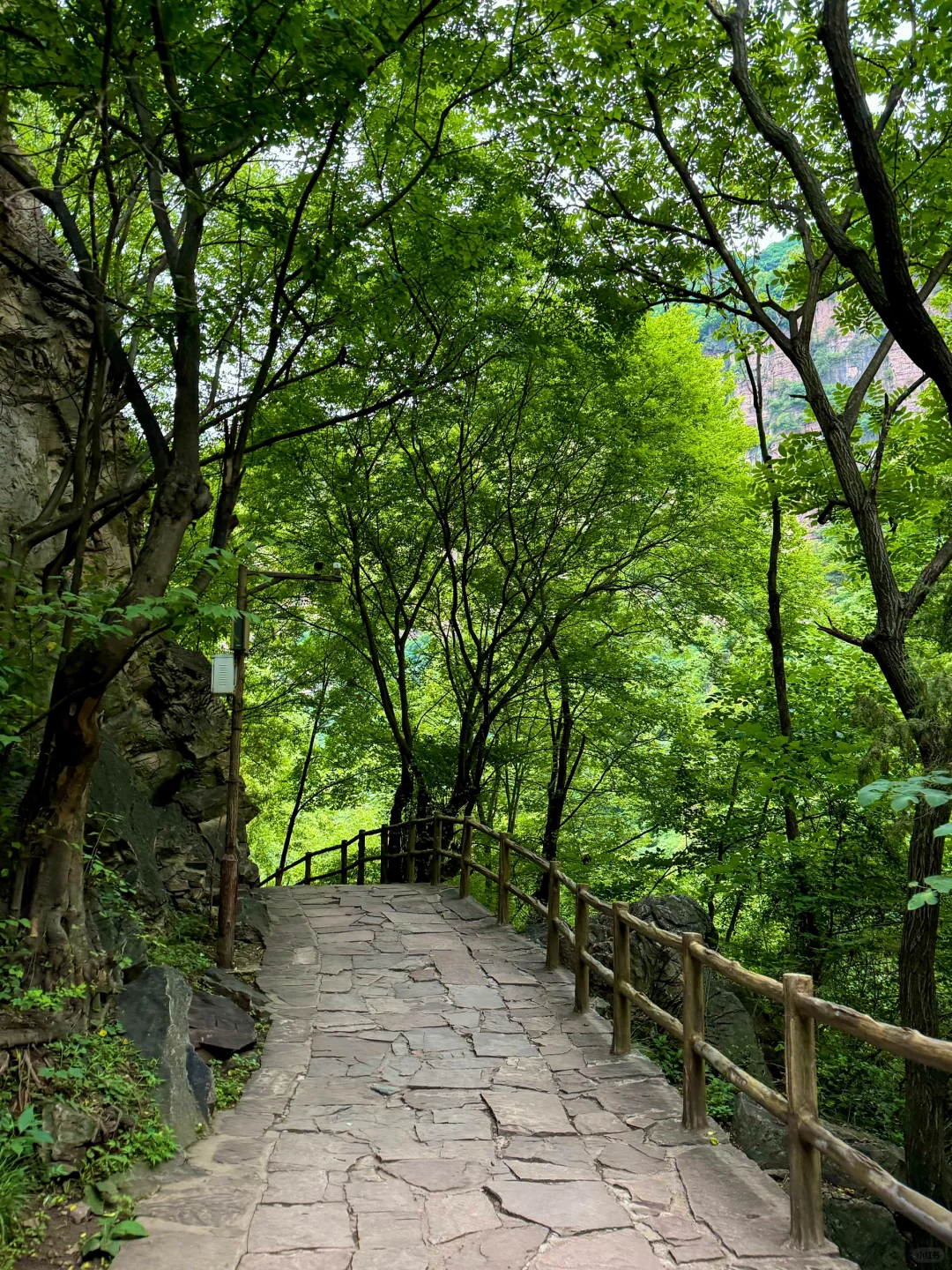 被名字所耽误的景区🥹|新乡八里沟游玩攻略